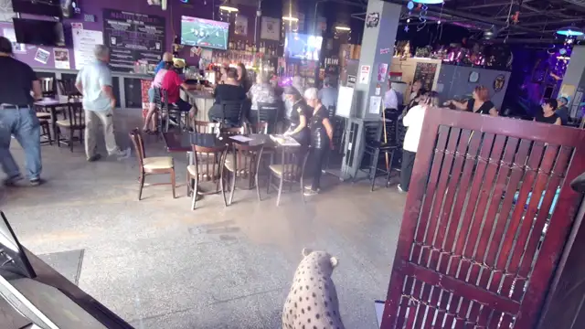 Live Wednesday through Saturday 9-1 with the Metro Best Karaoke  with Mile High Karaoke  on 20-Sep-25-13:57:53