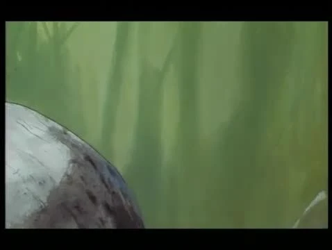 Tecknat Barn Svenska:Kalle Stropp och Grodan Boll på svindlande äventyr (1991) DVDRIPPEN (Svenska) Musiktrailer (4K)